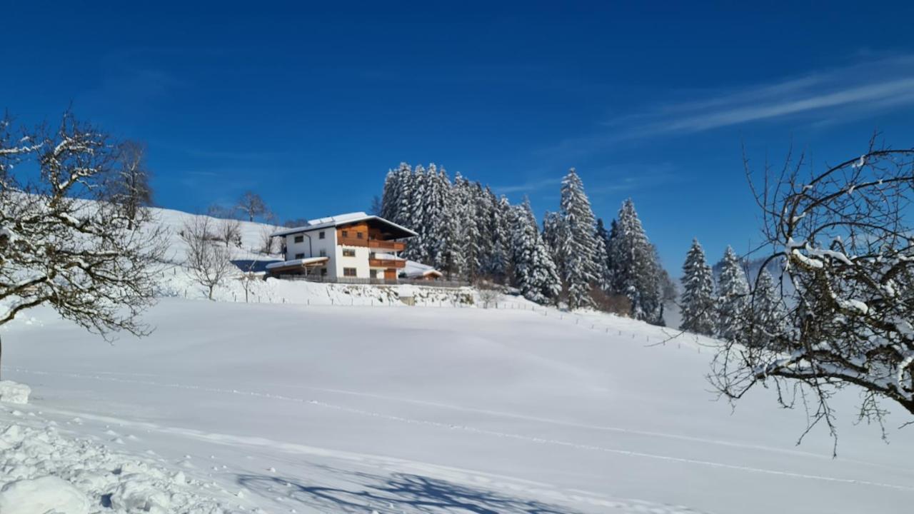 Appartement Schwindelfrei Niederndorferberg Zewnętrze zdjęcie